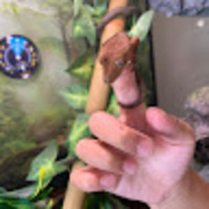 Meet your Posher, Le